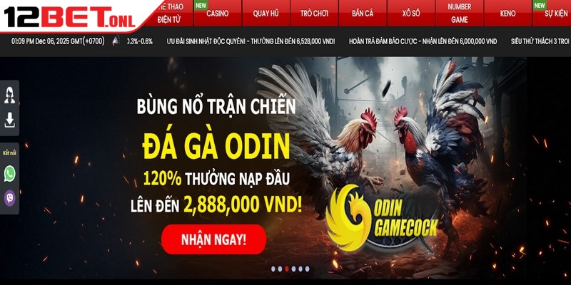 Cam kết mang đến sự hài lòng tuyệt đối cho hội viên cá cược